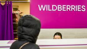 Почему доставка товаров на Wildberries стала платной в Пальметта