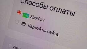 Почему в Додо Пицца не принимают наличные в Пальметта