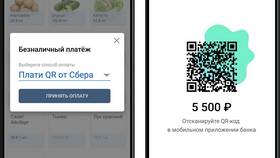 QR-платежи: что это в Пальметта