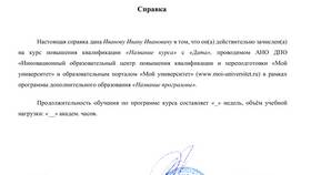 Требуют справку о том что в Пальметта