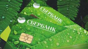 Утеряна карта Сбербанка: как восстановить и что делать в Пальметта