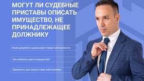 За что лишают имущества: основания и правовые последствия в Пальметта