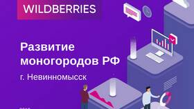 Законные способы воздействия на Wildberries в Пальметта